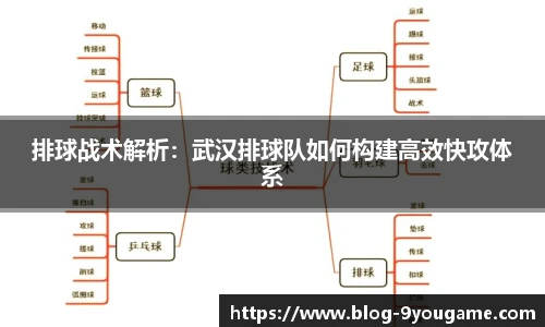 排球战术解析：武汉排球队如何构建高效快攻体系